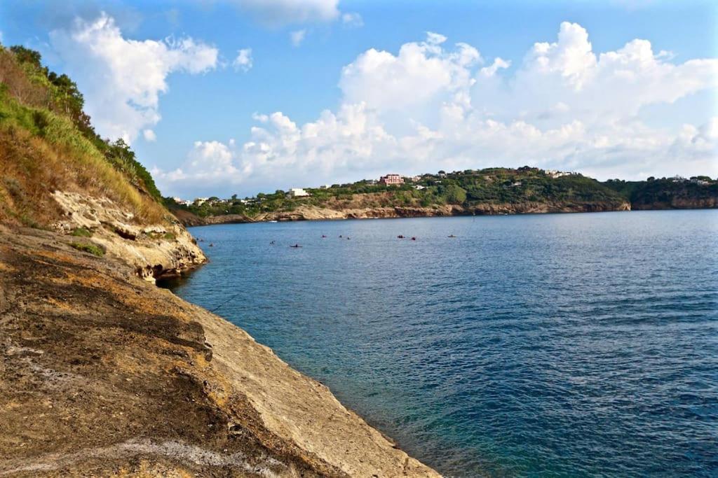 Casa Sottorar - Loft Open Space In Corricella Procida Ngoại thất bức ảnh